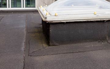 disadvantages of Worlebury flat roofs