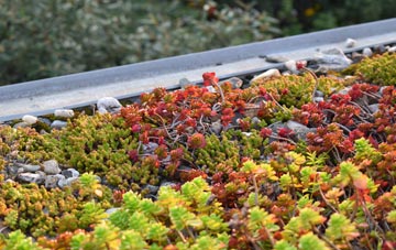 the cost of Worlebury green roof installation