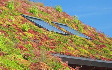 Worlebury living roof systems
